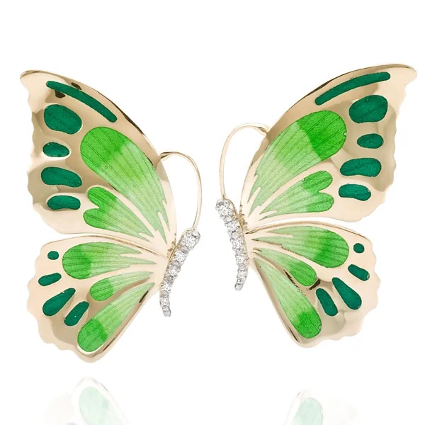 butterfly collection
