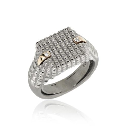 Anello Chevalier in Oro 18 kt e Titanio - AT09